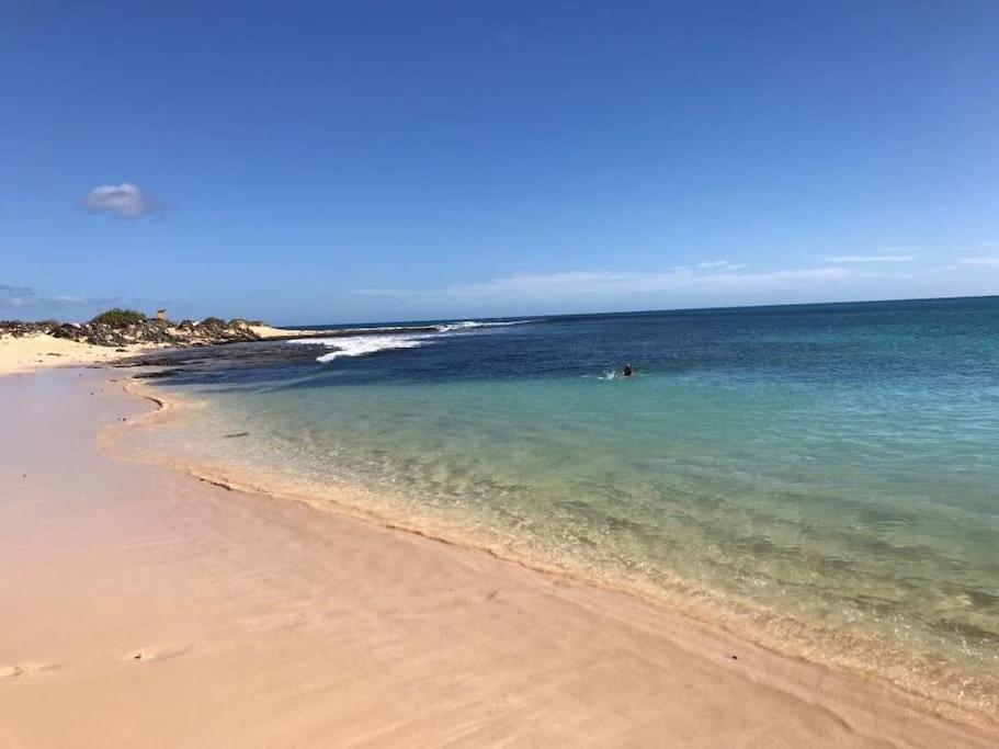 Chic&Surf Dunes View Lumineux Et Vue Superbe ! كوراليهو المظهر الخارجي الصورة